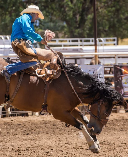 Cottonwood Rodeo Cowboy rijden hoge — Stockfoto