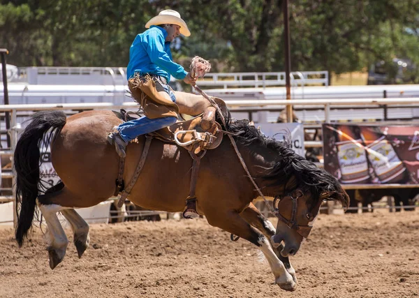 Bucking Bronco vaquero —  Fotos de Stock