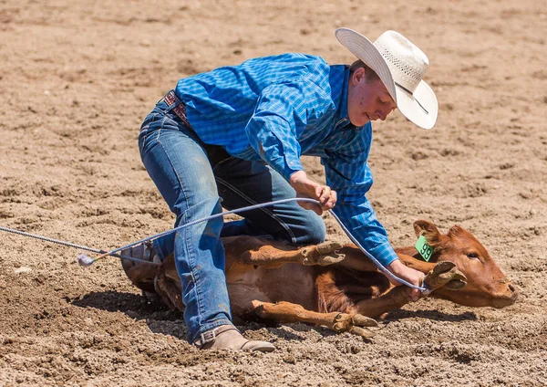 Bezerro Roping Cowboy — Fotografia de Stock