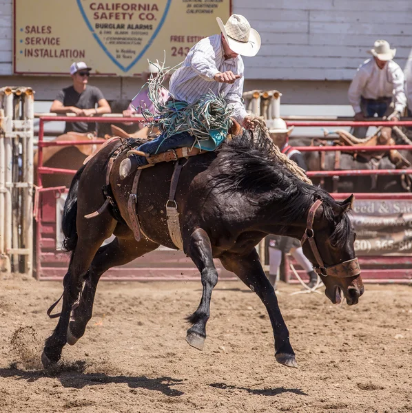 Rodeo Cowboy wisi — Zdjęcie stockowe