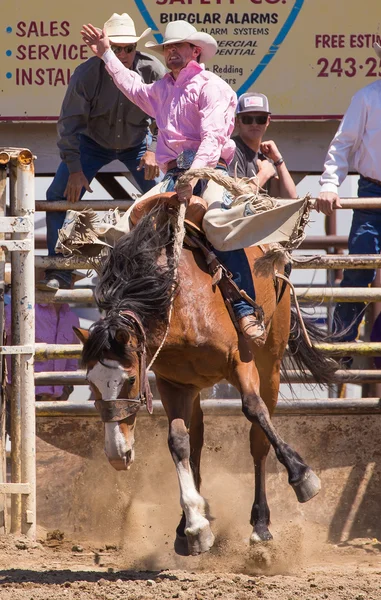 Bucking Bronco Cowboy — Stockfoto