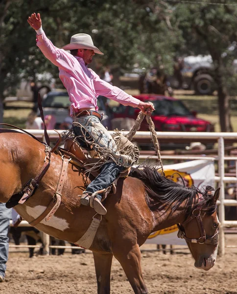 Vaqueiro de rodeio para a vitória — Fotografia de Stock