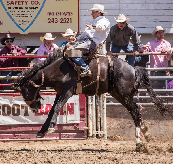 Cowboy toont goede vorm — Stockfoto