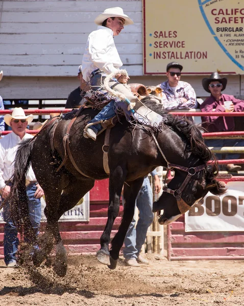 Equitação alta para o Campeonato — Fotografia de Stock