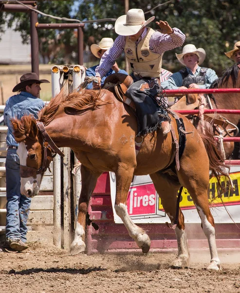 Cowboy visar bra Form — Stockfoto