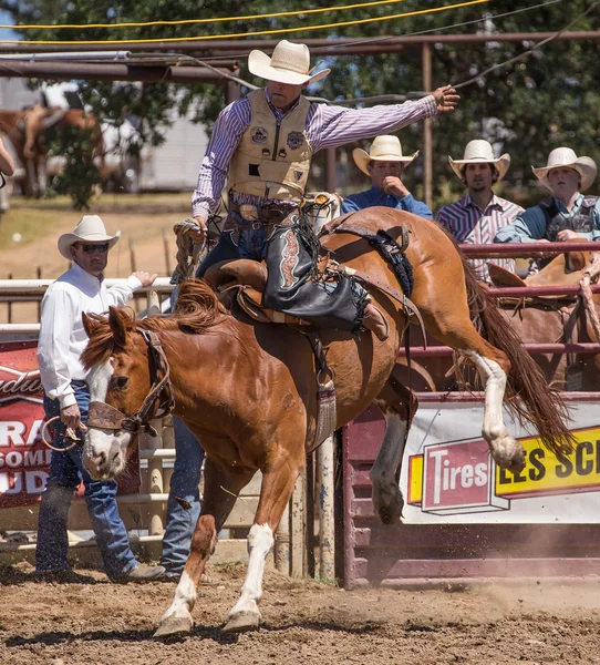 Rodeo kovboj visí na — Stock fotografie