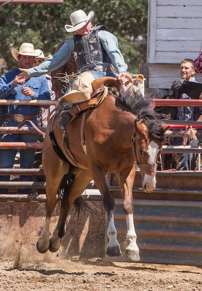 Cowboy Shows Good Form — Stock Photo, Image