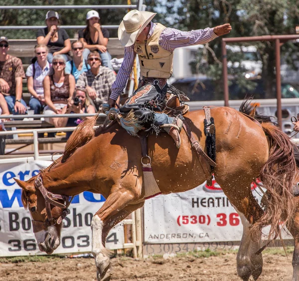 Cowboy visar bra Form — Stockfoto