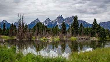 Grand Tetons Wyoming