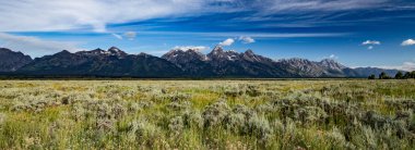 grand tetons