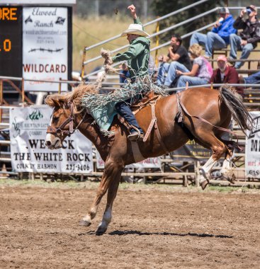 Champion Rider Today