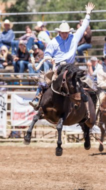 Champion Rider Today