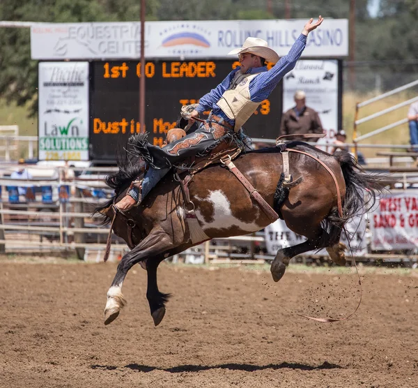 An Excellent Ride — Stockfoto