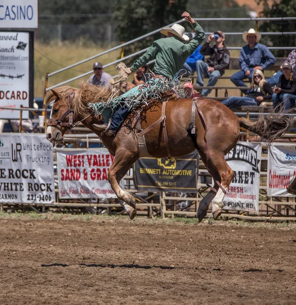 Imágenes de Ward watkins rodeo libres de derechos | Depositphotos