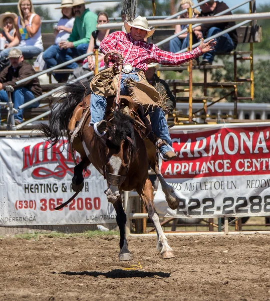 Champion Rider Today