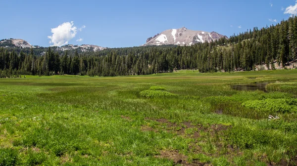 Monte Lassen Meadow —  Fotos de Stock