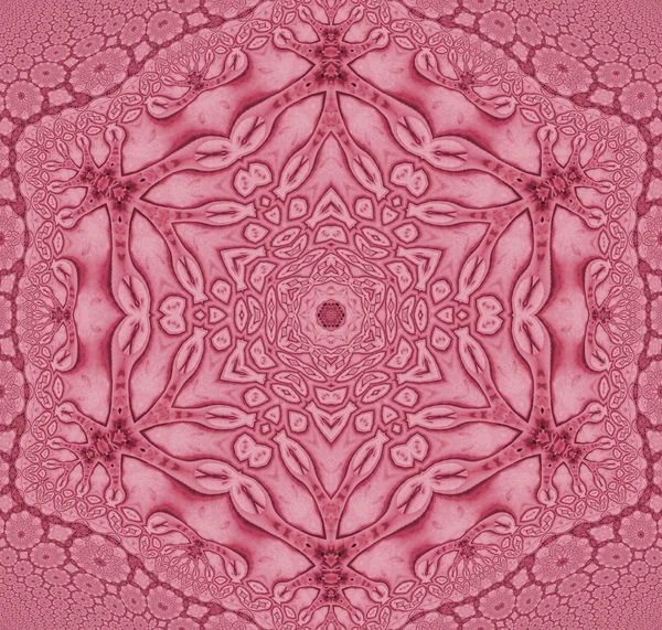 Ornement floral sans couture rose rouge violet — Photo