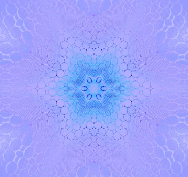 Květinový vzor bezešvé modrá fialová — Stock fotografie