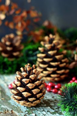 Yılbaşında çam kozalakları