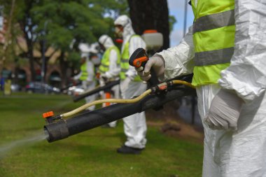 Çalışanların Aedes aegypti sivrisinek için dezenfekte