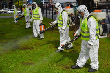 Çalışanların Aedes aegypti sivrisinek için dezenfekte