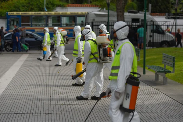 Çalışanların Aedes aegypti sivrisinek için dezenfekte