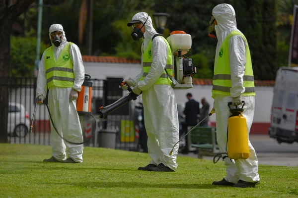 Employees fumigate for Aedes aegypti mosquitos — Stock Photo, Image