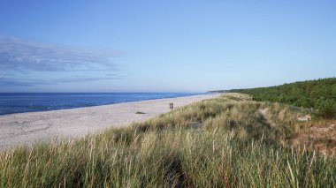 Slajszewo 'da Baltık Denizi' nde harika bir sahil. Geniş sahil manzarası, çimenli kum tepeleri ve çam ormanı. Polonya