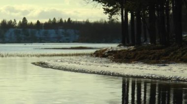 Çam ağaçları ile karlı akşam sahil sakin göl suya yansıyan.