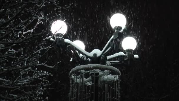 Park street light, iluminando la nieve que cae . — Vídeos de Stock