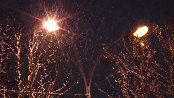 Lampione giallo e neve che cade contro il cielo buio . — Video Stock