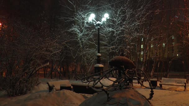 Plaza cubierta de nieve nocturna con un monumento en forma de peces y una luz de calle que ilumina la nieve que cae . — Vídeo de stock
