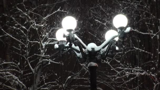 Pouliční lampy s kulaté světlomety, osvětlení padající sníh. — Stock video