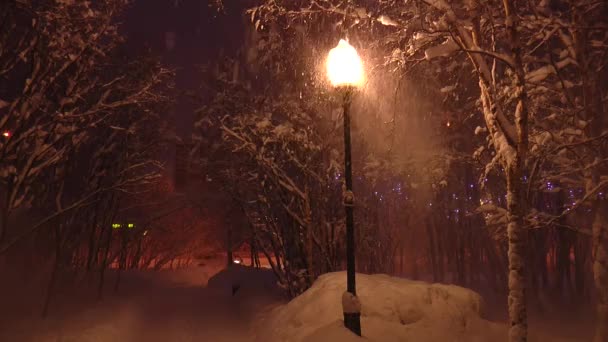 Straat lamp in het besneeuwde Park licht dalende sneeuw. — Stockvideo
