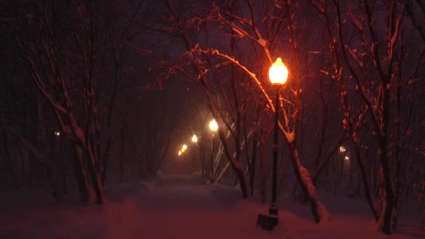 Il viale buio del deserto nella piazza innevata dalla luce dei lampioni . — Video Stock