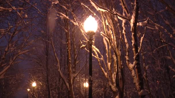 Lampadaire jaune parmi les branches enneigées . — Video