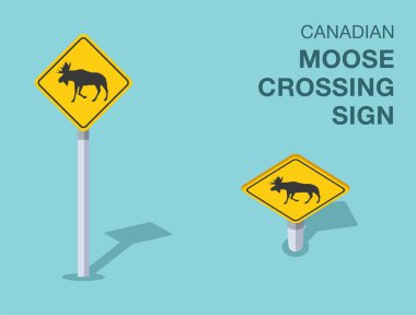 Trafik yönetmeliği kuralları. İzole Kanada geyik kavşağı yol tabelası. Ön ve üst manzara. Düz vektör resimleme şablonu.