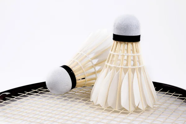 stock image A set of badminton, Badminton racket and shuttlecock.