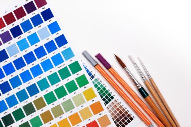 Beyaz bir arka planda fırçalar ile yaratıcı renk kombinasyonları için renk grafik Kılavuzu.