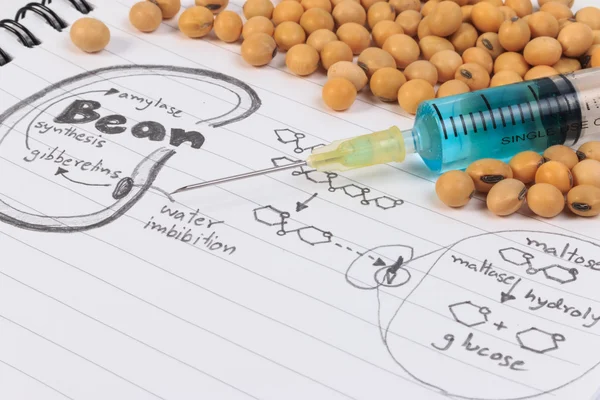 Soybean, chemical formula, syringe and blue chemistry with reaction formula. — Stock Photo, Image