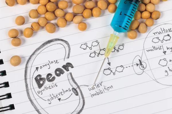 Soybean, chemical formula, syringe and blue chemistry with reaction formula. — Stock Photo, Image