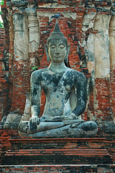 Wat Mahathat ("tempel van de grote relikwie" of "tempel van de grote Reliquaris") is de gemeenschappelijke korte naam van enkele belangrijke boeddhistische tempels in Ayutthaya, Thailand. — Stockfoto