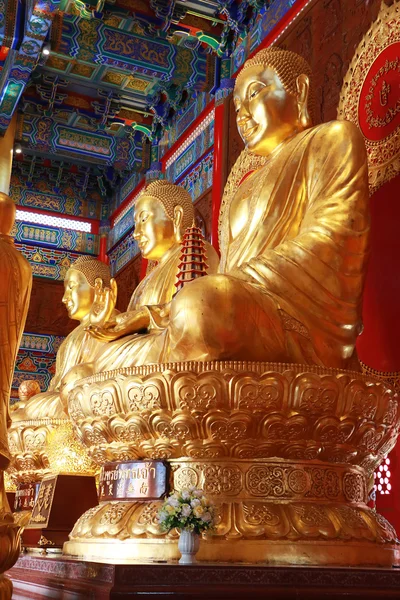 Buddha-Statue, Stuck in chinesischem Tempel — Stockfoto