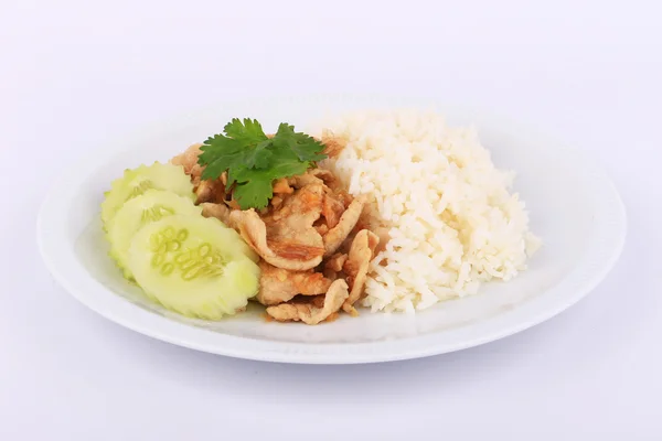 Thailändska favoriträtt, skivad stekt fläsk med vitlök ris, gurka — Stockfoto