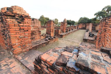İl Ayutthaya, Tayland harabelerde Phra Ram Tapınağı (Wat Phra Ram)