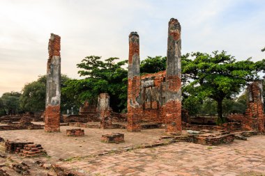 Güzel Antik Tapınağı, bir kırık Buda Stupa Ayutthaya, Tayland (Phra Nakhon Si Ayutthaya Wat Phra Sri Sanphet)