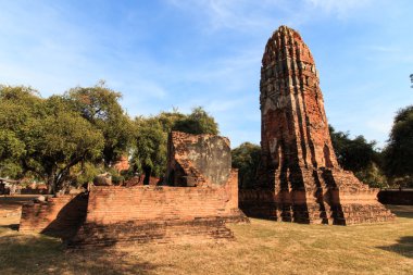 Şehir kurma kalır Ayutthaya, Tayland (Phra Nakhon Si Ayutthaya Wat Phra Sri Sanphet Tapınağı)