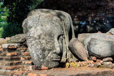 Heykel Buda kafa kalır ve Kral Borommarachathirat II Ayutthaya Krallığı denilen Ratburana Tapınağı (yerel olarak Wat Ratburana biliyorum)