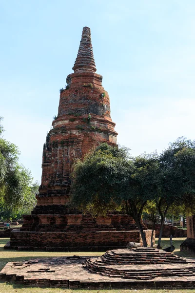 Edifício da cidade remanescente do Templo Wat Phra Sri Sanphet em Ayutthaya, Tailândia (Phra Nakhon Si Ayutthaya ) — Fotografia de Stock