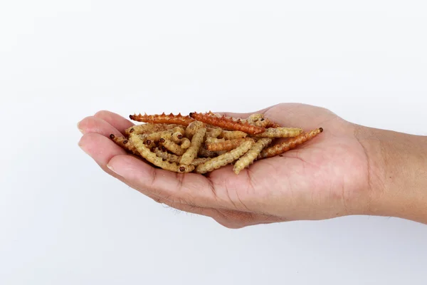 Thailand Serangga, serangga goreng mealworm untuk makanan ringan di tangan asia — Stok Foto